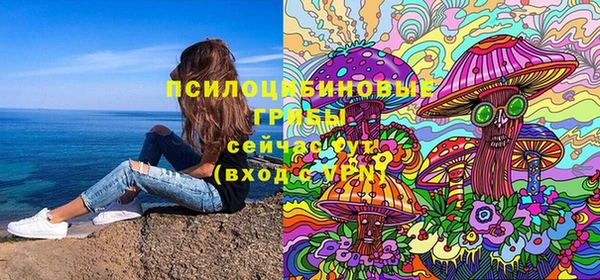 марки lsd Абаза