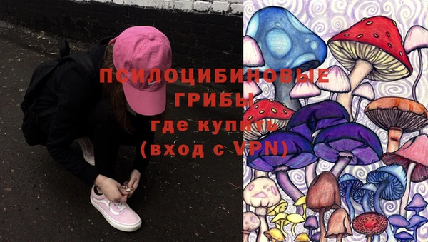 соль ск Абдулино
