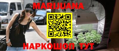 шишки Гатчина