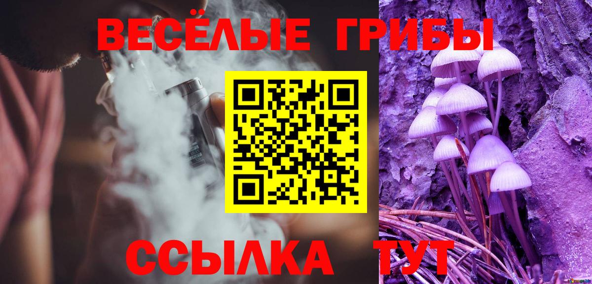 Псилоцибиновые грибы Cubensis Камень-на-Оби