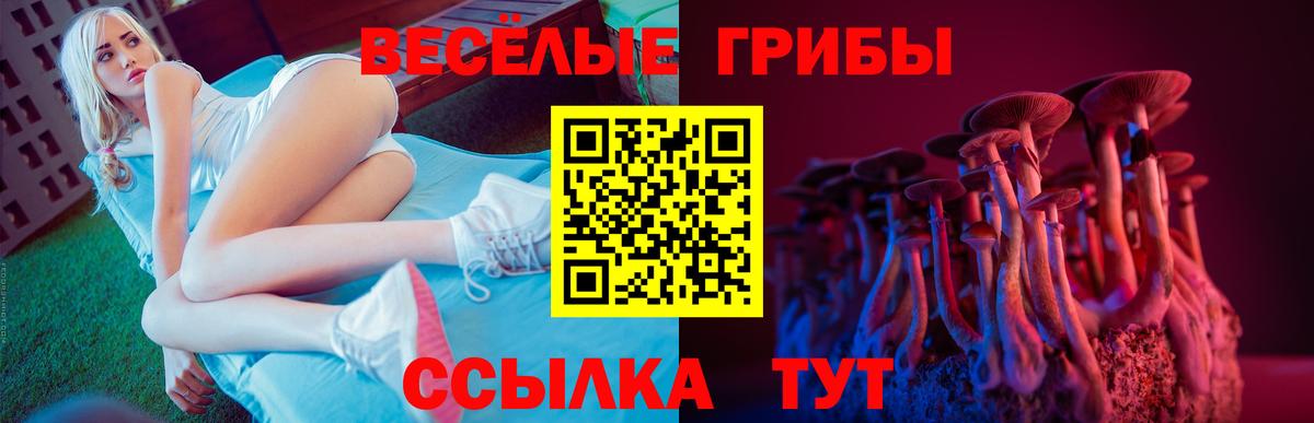 купить закладку  Псилоцибиновые грибы ЛСД  Псилоцибиновые грибы мухоморы  Вход с VPN  Камень-на-Оби 